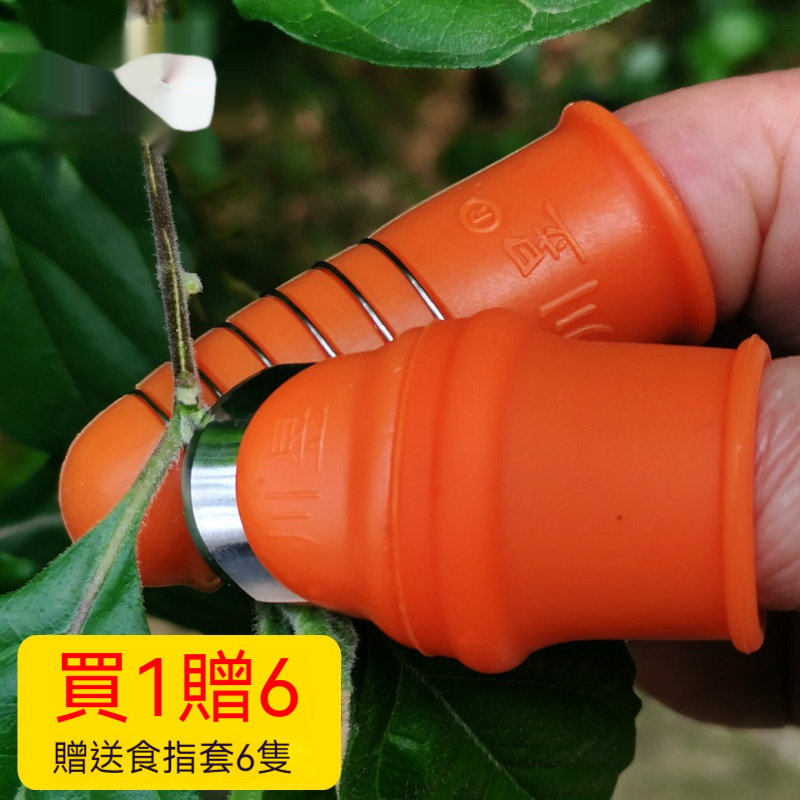 【終於不怕手指痛啦】日常摘菜✅ 果樹採摘✅ 農園作業✅