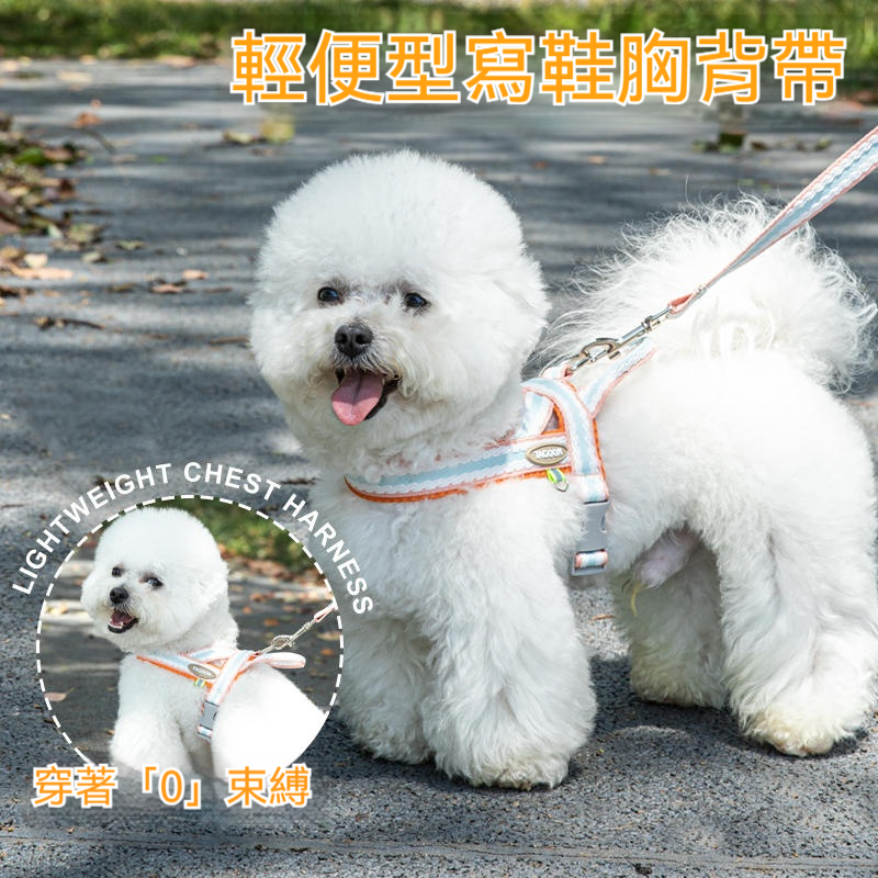 【一套一扣 即刻出發】專為中小型犬設計✅真正提升舒適感✅網眼透氣面料✅清涼透氣不悶熱✅