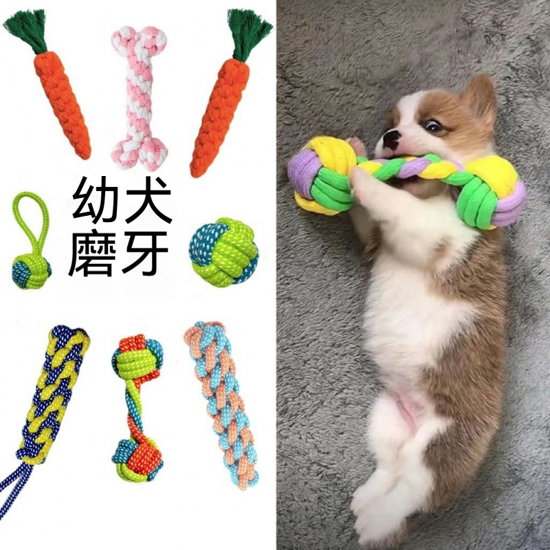 法齒磨牙棉繩玩具套組——潔齒+防拆+解悶，一套搞定！ ✨