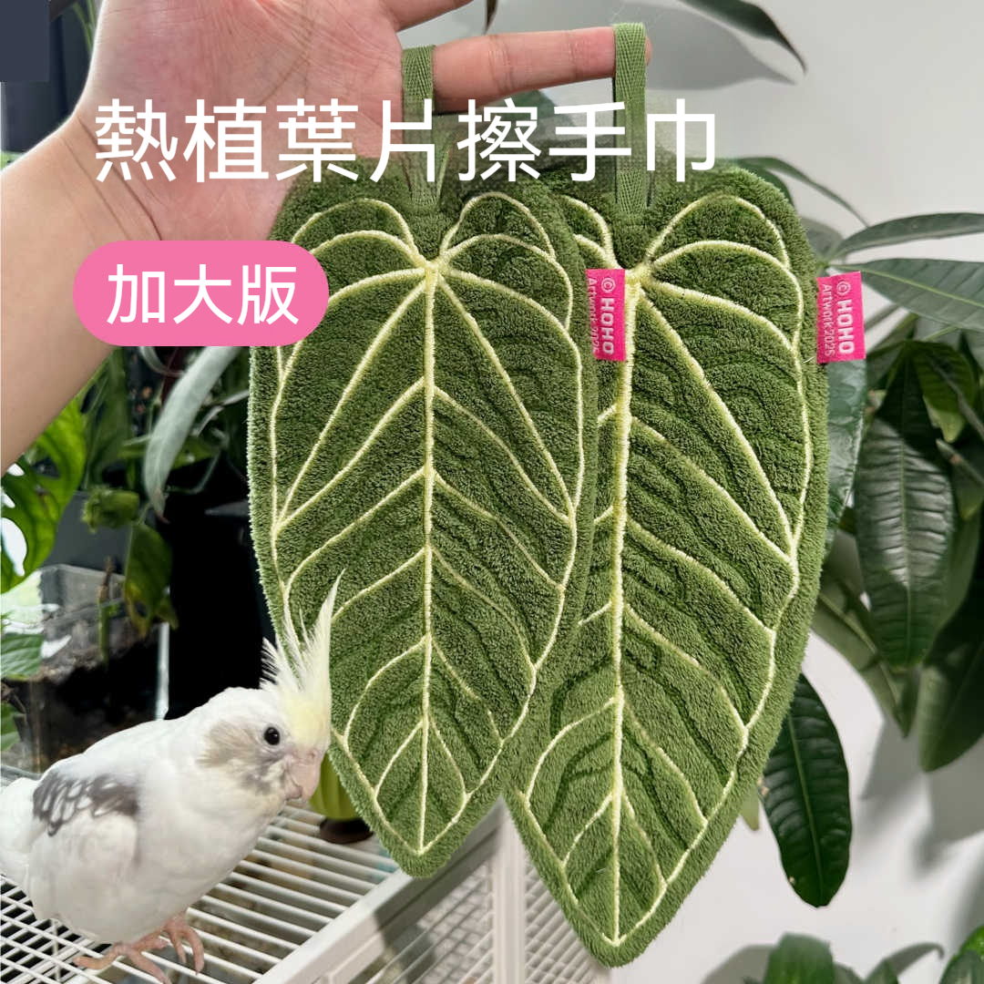 【把熱帶雨林掛上毛巾！】✨ HOHO原創植物擦手巾！花燭葉脈X5dbr吸水力 → 擦手3Min後自動還原「植物標本」級美態✨文青廚房的終極儀式感！